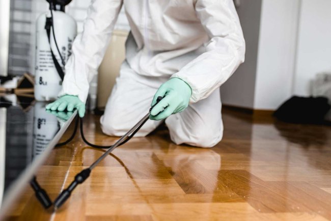 Arrow Termite Control